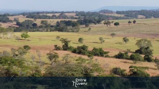 Pasto  — vídeo aéreo de Araçu