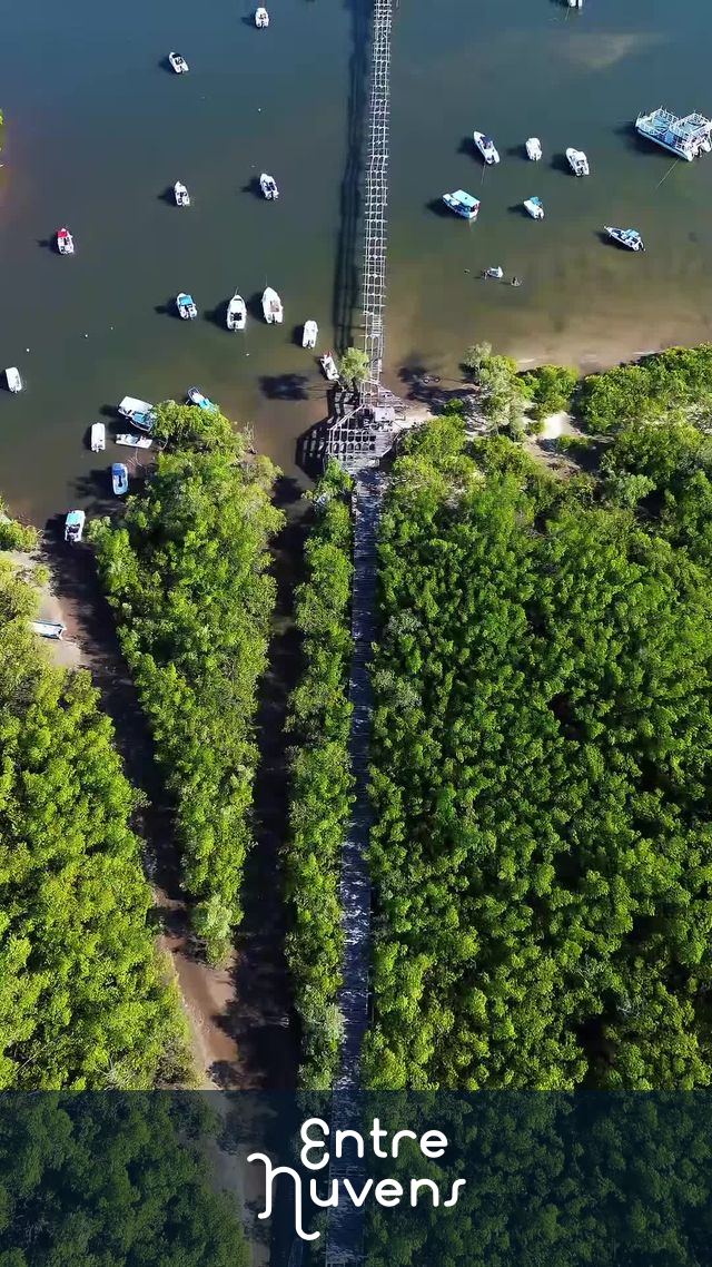 Píer de Guadalupe  — vídeo aéreo de Sirinhaém