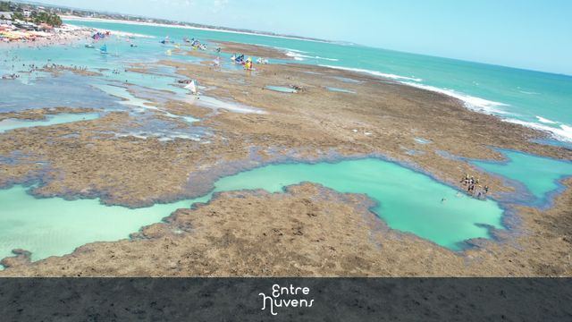 Piscinas Naturais e Passeio  de Jangada 