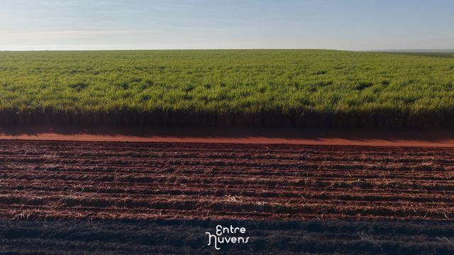 Plantação de cana-de-açúcar e solo arado — vídeo aéreo de Santa Bárbara d'Oeste