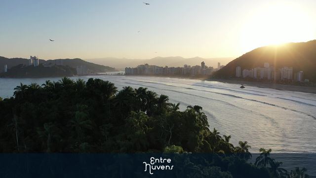 Pôr do sol na orla de Santos com vegetação em primeiro plano