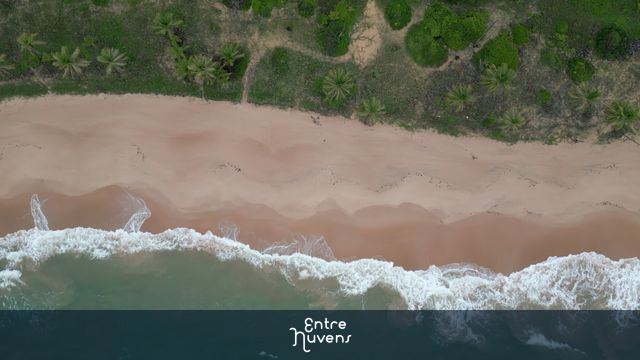 Praia com faixa de areia, pequenas ondas e coqueiros