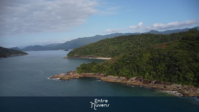 Praia da Ponta Aguda e Figueira - Ubatuba/SP