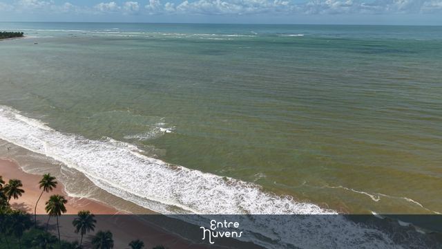 PRAIA DE IPIOCA - MACEIO - ALAGOAS 