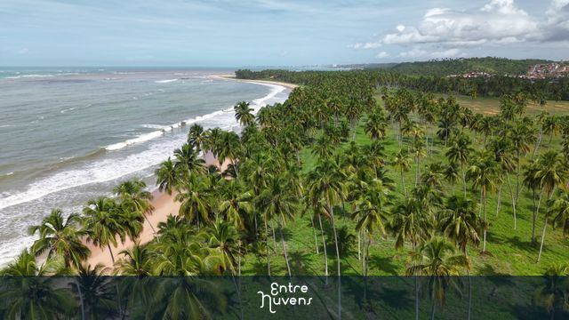 PRAIA DE IPIOCA - MACEIO - ALAGOAS 