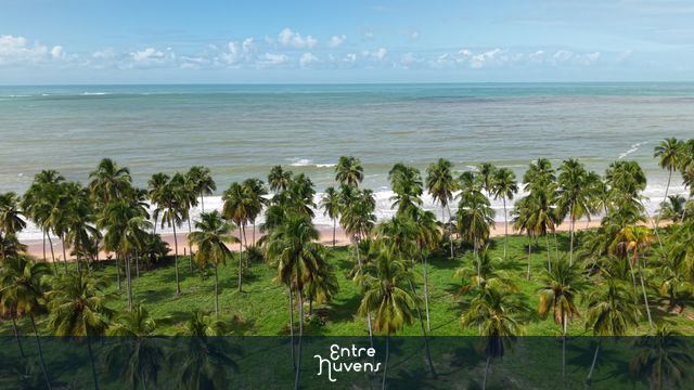 PRAIA DE IPIOCA - MACEIO - ALAGOAS 
