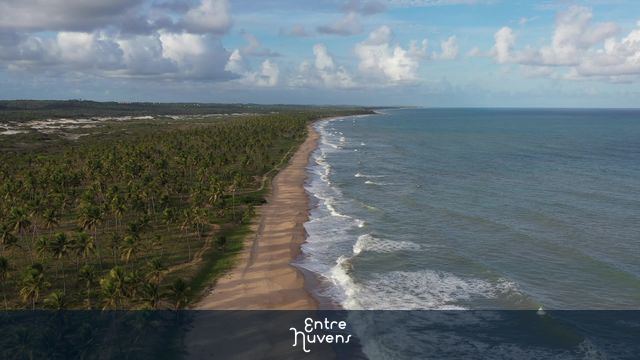 Praia deserta cercada por coqueirais — vídeo aéreo de Mata de São João