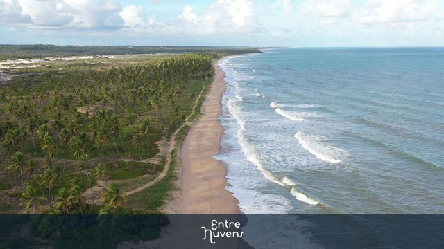 Praia deserta com coqueirais e mar azul — vídeo aéreo de Mata de São João