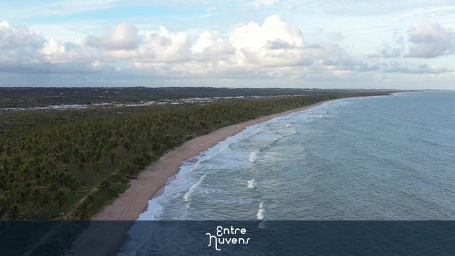 Praia deserta com coqueirais e mar cristalino — vídeo aéreo de Mata de São João