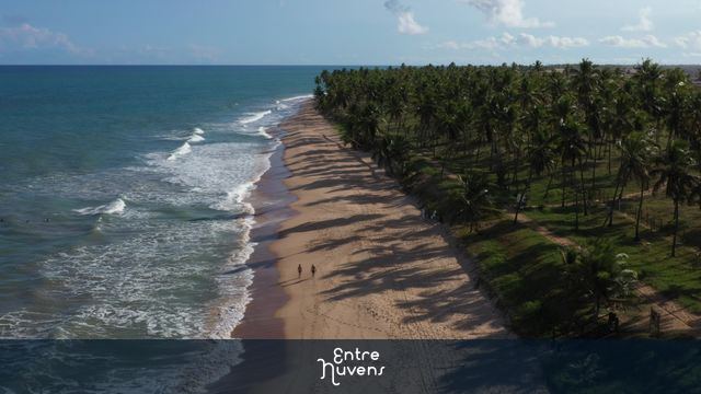 Praia deserta com coqueiros e mar azul — vídeo aéreo de Mata de São João