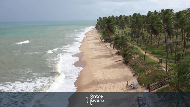 Praia deserta com coqueiros e mar cristalino — vídeo aéreo de Mata de São João