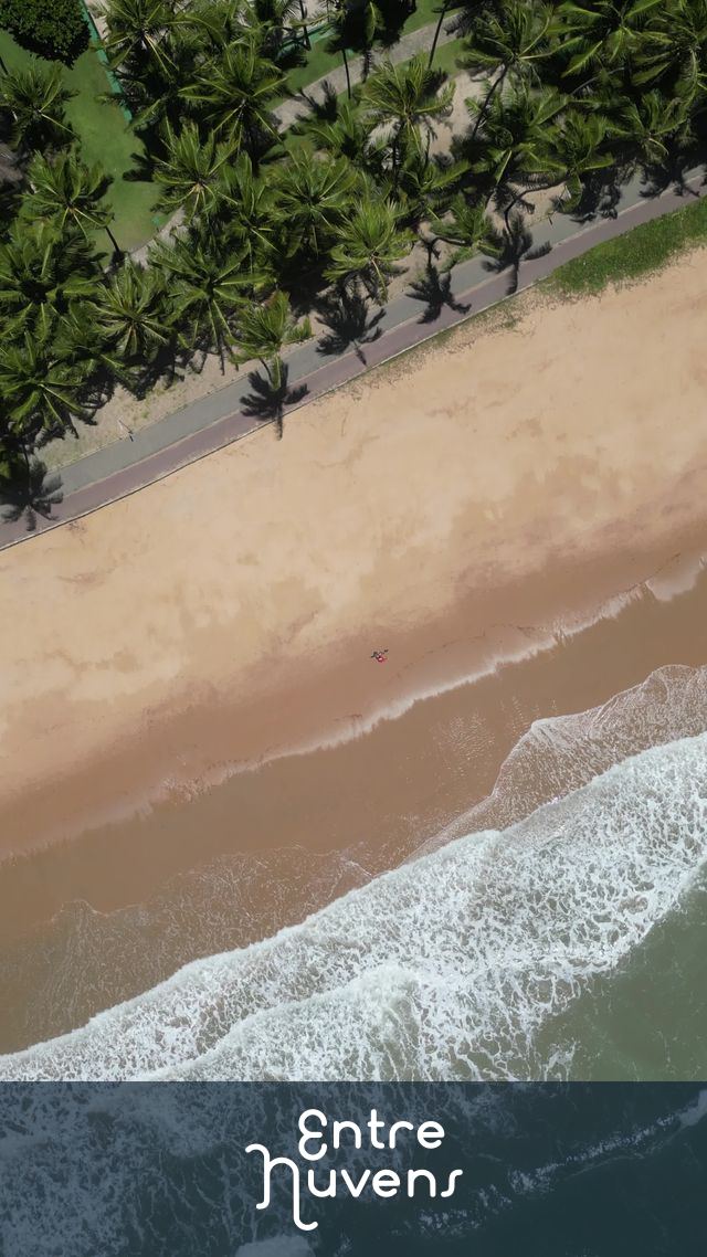 Praia deserta com coqueiros e mar cristalino, na Praia do Bairro Jatiúca — vídeo aéreo de Maceió