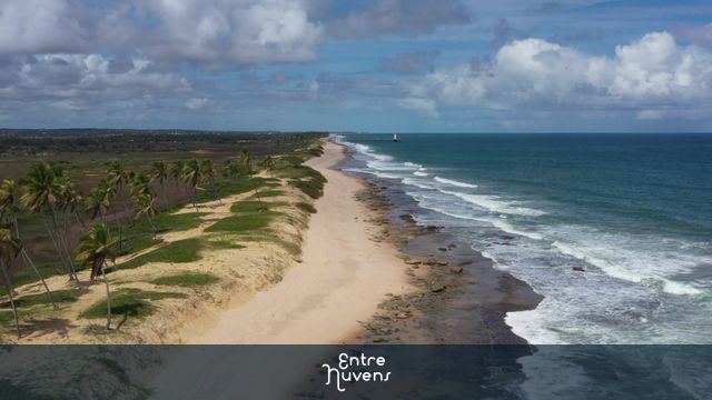 Praia deserta com coqueiros e mar cristalino — vídeo aéreo de Mata de São João