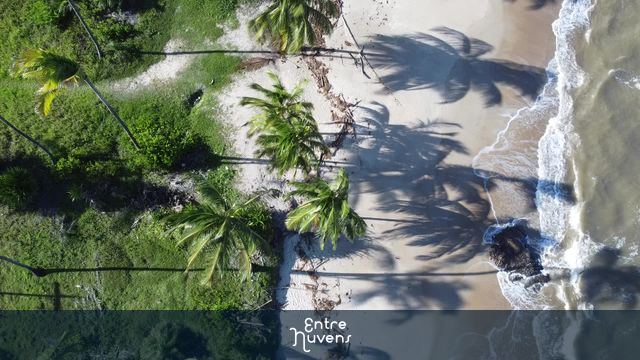 Praia deserta vista de cima. — vídeo aéreo de Ilhéus