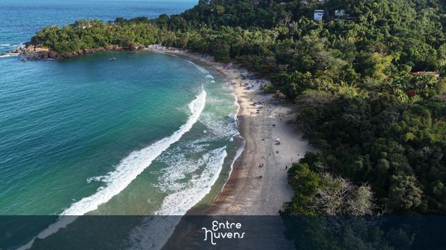 Praia do Félix em Ubatuba: Paraíso com Mata Atlântica e Águas Cristalinas