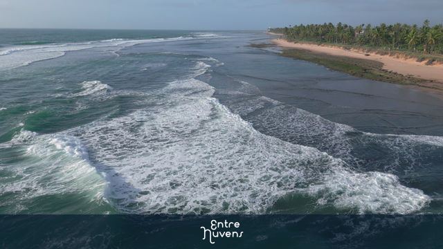 Praia do Forte com areia clara, água do mar azul com pequenas ondas, coqueiros na beira e céu azul.