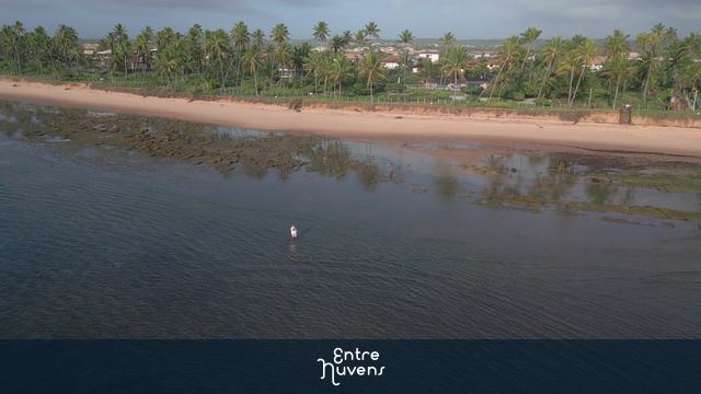 Praia do Forte na Bahia com aves voando, pescador se preparando com lindo céu azul e coqueiros