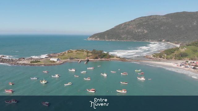 Praia do matadeiro Florianópolis sc