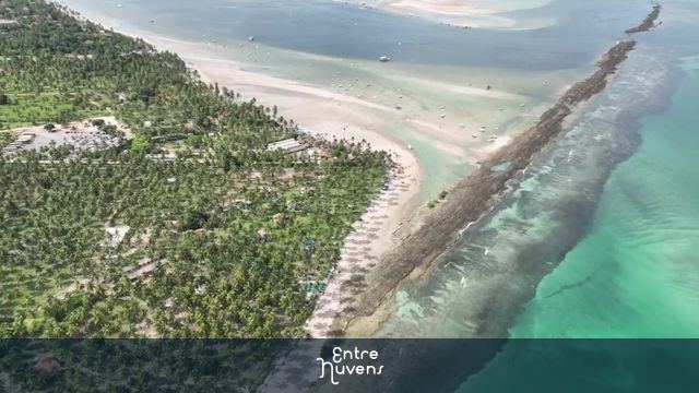Praia dos carneiros Pernambuco 3 — vídeo aéreo de Tamandaré