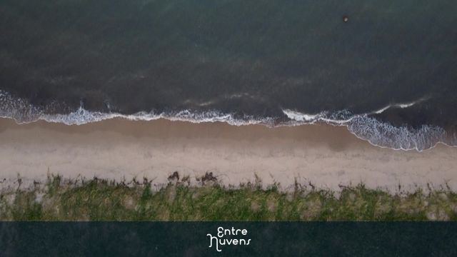 Praia em São Sebastião 