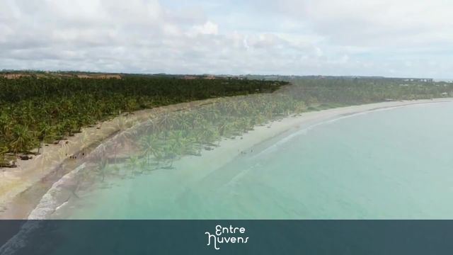 Praia Hibiscus