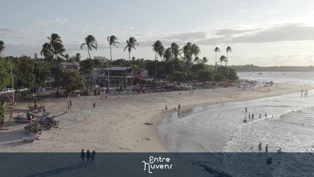 Praia movimentada com coqueiros ao entardecer