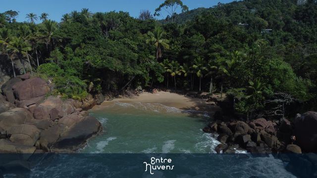 Praia, natureza, praia pequena — vídeo aéreo de São Paulo