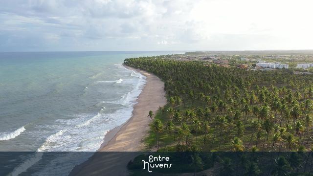 Praia paradisíaca com coqueirais à beira-mar — vídeo aéreo de Mata de São João