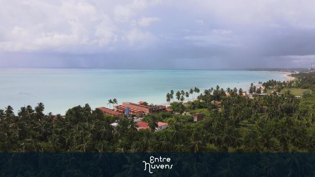Praia paradisíaca com coqueirais e mar azul
