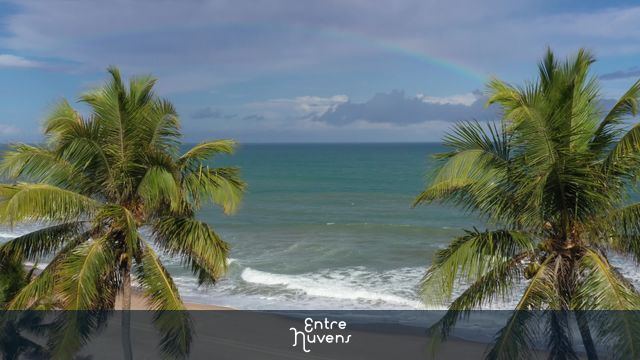 Praia paradisíaca com coqueiros e arco-íris — vídeo aéreo de Mata de São João
