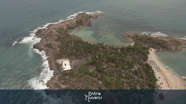 Praia paradisíaca com coqueiros e mar cristalino — vídeo aéreo de Sirinhaém