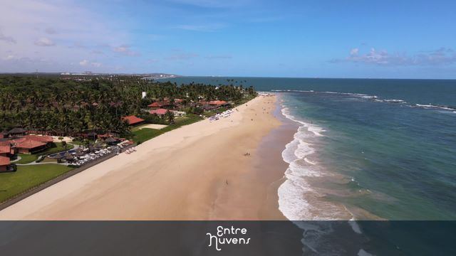 Praia paradisíaca de areia dourada — vídeo aéreo de Ipojuca