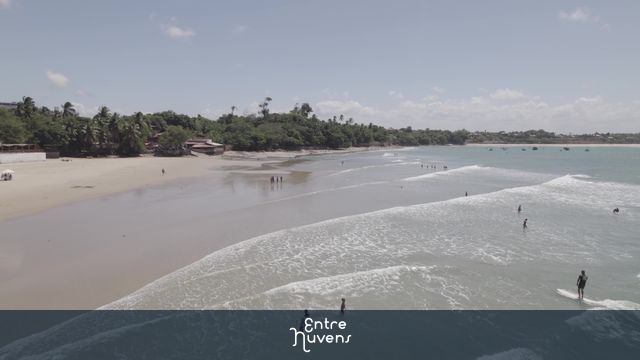 Praia tranquila com surfista e vegetação lush — vídeo aéreo de Paracuru