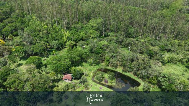 Refúgio na Natureza: Uma Pequena Casa em Meio à Floresta — vídeo aéreo de Pindamonhangaba
