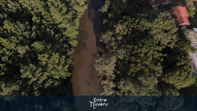 Ribeirão - Mata Atlântica - Ambiental — vídeo aéreo de Curitibanos