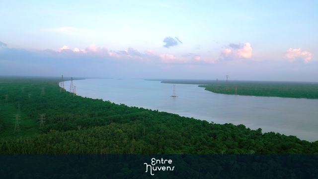 Rio Combú serpenteando floresta com torres de energia em Belém