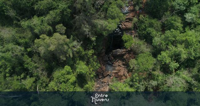 Rio entre árvores