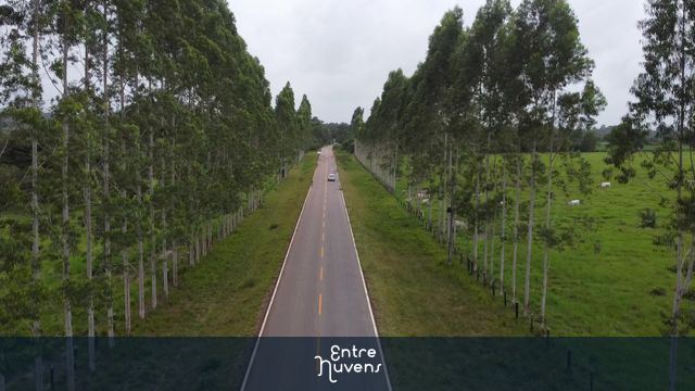Rodovia com árvores enfileiradas nas margens — vídeo aéreo de Irituia