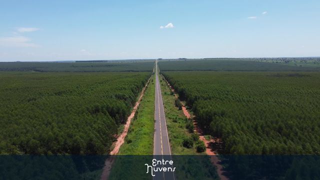 Rodovia com eucalipto — vídeo aéreo de Santa Rita do Pardo