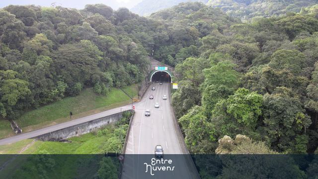 Rodovia entre túneis cercada por mata densa — vídeo aéreo de São Vicente