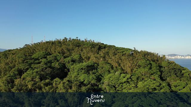 Santos 