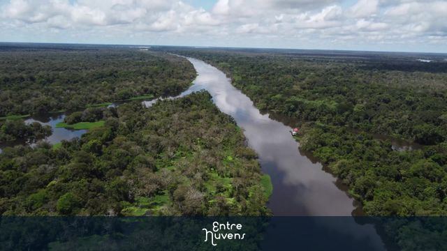 Sobrevoo na floresta protegida na Amazônia
