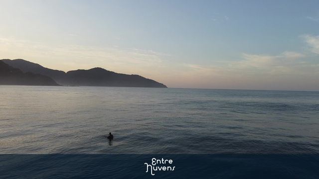 Surfista em Camburi - SP, Litoral Norte — vídeo aéreo de São Sebastião