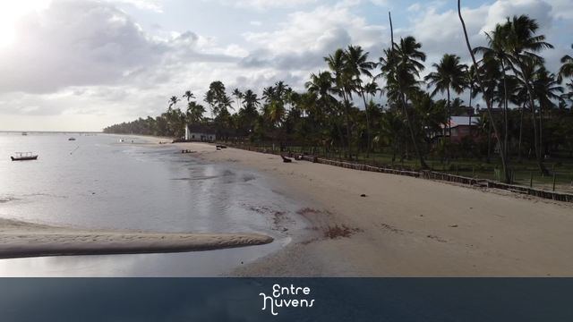 Tamandaré PE - Praia dos Carneiros