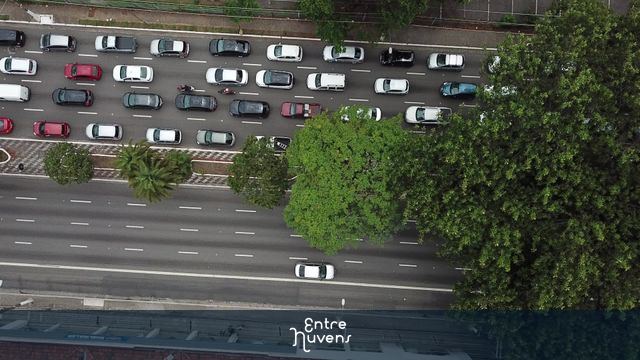 Trânsito intenso em avenida urbana arborizada