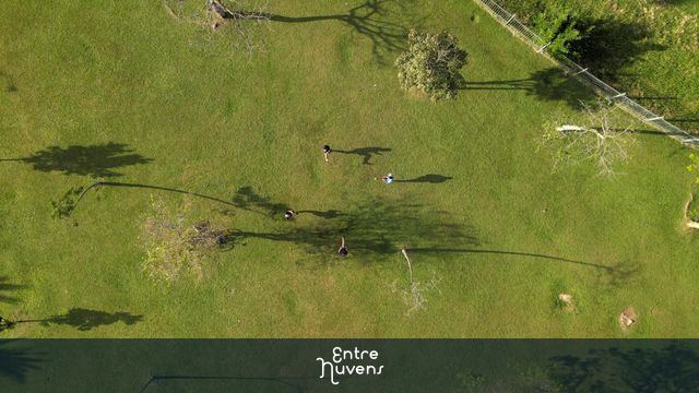 Treino de karatê no ar livre