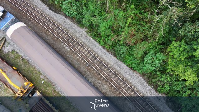 Trem de Carga em Movimento: Vista Aérea Sobre a Mata