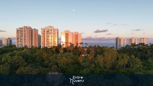UM PASSEIO NO PÔR DO SOL 