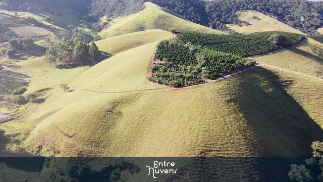Vacas na fazenda — vídeo aéreo de Natércia