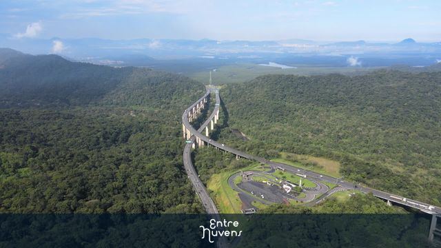 Viaduto em meio à Mata Atlântica